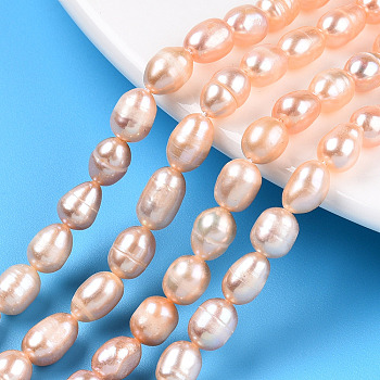 Natural Cultured Freshwater Pearl Beads Strands, Rice, Wheat, 7.8~10.5x5.5~6mm, Hole: 0.7~0.8mm, about 40~46pcs/strand, 13.58 inch(34.5cm)