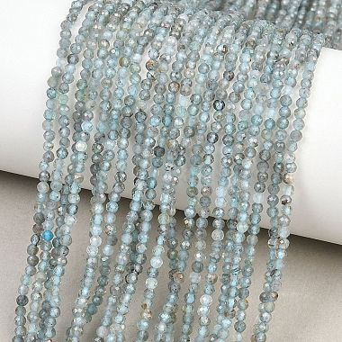 Natural Apatite Beads Strands(G-RM250104-C5)-1
