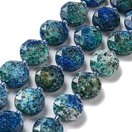 Natural Sesame Jasper/Kiwi Jasper Beads Strands, Imitation Chrysocolla, Faceted Hexagonal Cut, Flat Round, Dyed, 12~12.5x5~6mm, Hole: 1.2~1.4mm, about 27~29pcs/strand, 15.55~15.75 inck(39.5~40cm)(G-NH0004-004)