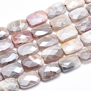 Electroplate Natural Sunstone Beads Strands, Faceted, Rectangle, 18x13x5.5~6mm, Hole: 1.5mm, about 22pcs/strand, 15.7 inch(G-K256-19C-01)