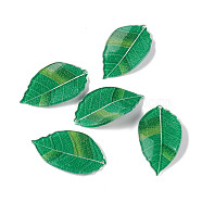 Autumn Theme Acrylic Pendants, for DIY Earring Decoration, Leaf, Green, 43x24x2mm, Hole: 1.6mm(OACR-D007-03)