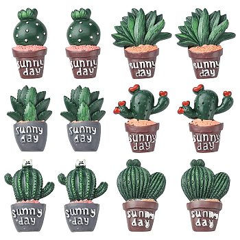 30Pcs 6 Styles Opaque Resin Plants Cabochons, Cactus, Succulents Potted Plant, Green, 33~39x18~31x6~9mm, 5pcs/style