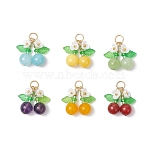 6Pcs 6 Styles Natural Amethyst & Carnelian & Mashan Jade & Malaysia Jade Cherry Pendants, Fruit Charms with Acrylic Leaf and 304 Stainless Steel Jump Rings, Golden, Mixed Dyed and Undyed, Mixed Color, 19x21x8mm, Hole: 5mm, 1pc/style(PALLOY-MZ00821)