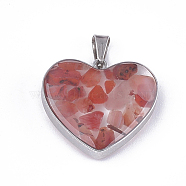 Natural Carnelian Pendants, with Glass and 304 Stainless Steel Findings, Heart, Stainless Steel Color, 19x21x6mm, Hole: 3x5.5mm(STAS-T043-01C)