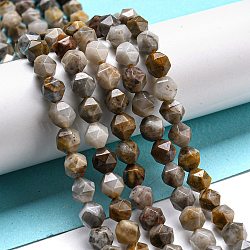 Natural Gobi Agate Beads Strands, Faceted Star Cut Beads, 8x8mm, Hole: 1mm, about 45~46pcs/strand, 14.88''~15.04''(37.8~38.2cm)(G-NH0012-B03-02)