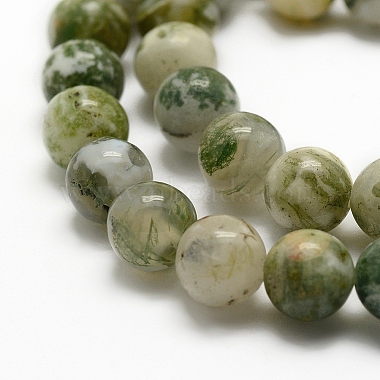 Natural Tree Agate Beads Strands(G-K194-8mm-02)-4