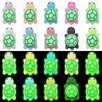 10Pcs 10 Colors Luminous Silicone Beads, Tortoise, Glow in the Dark Beads, Mixed Color, 30x17x12mm, Hole: 2mm, 1pc/color(SIL-CJ0003-08)