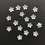 ABS Plastic Imitation Pearl Cabochons, 5-Petal Flower, Creamy White, 11x2.5mm(MACR-F028-22-01)