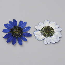 Pressed Dried Flowers, for Cellphone, Photo Frame, Scrapbooking DIY and Resin Art Floral Decors, Blue, 26~34x1mm(DIY-WH0308-412E-1)