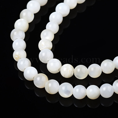 Natural Freshwater Shell Beads Strands(BSHE-T009A-01A)-4