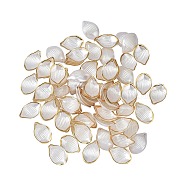 Resin Petal Pendants, DIY Earrings Brooch Accessories, White, 24x16mm(RESI-CJ0001-132)