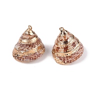 Natural Sea Shell Pendants, Shell Shaped Charms with Golden Tone Iron Loops, Saddle Brown, 20~29x16~27x18~27mm, Hole: 1~1.8mm(SSHEL-N038-58B)