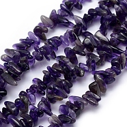 Natural Amethyst Beads Strands, Chip, 12~18x5~8mm, Hole: 1mm, 15.3 inch(39cm)(G-K220-04)