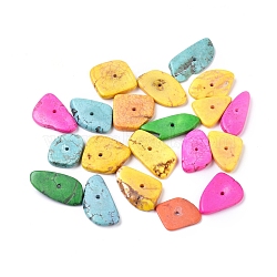 Natural Howlite Chip Beads, Dyed, Mixed Color, 9~30x5~25x4~8mm, Hole: 1mm(X-TURQ-L013-02)
