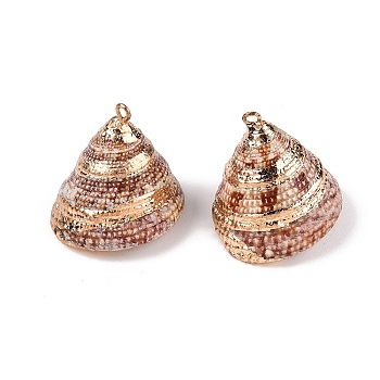 Natural Sea Shell Pendants, Shell Shaped Charms with Golden Tone Iron Loops, Saddle Brown, 20~29x16~27x18~27mm, Hole: 1~1.8mm