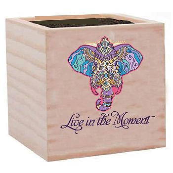 Willow Wood Planters, Flower Pots, for Garden Supplies, Square with Word Live in The Moment, Elephant, 75x75x75mm