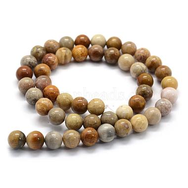 Natural Fossil Coral Beads Strands(G-G763-12-8mm)-5