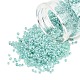 Glass Seed Beads(SEED-XCP0001-48)-1