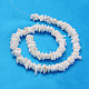 Natural Sea Shell Chips Beads Strands(BSHE-Q024-02)-2