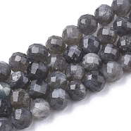 Natural Labradorite Beads Strands, Faceted, Round, 7.5~8x8mm, Hole: 1mm, about 25pcs/strand, 7.48 inch(G-S345-8mm-005)