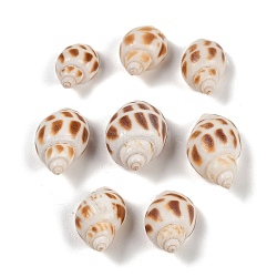 Natural Spiral Shell Beads, Shell Shape, Top Drilled, Chocolate, 16~29x11~18x9~17mm, Hole: 1.4mm, about 714pcs/500g(SHEL-K009-17D)