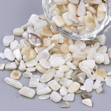 Freshwater Shell Beads(SHEL-S266-11)-3