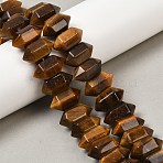 Natural Tiger Eye Double Terminated Point Beads Strands, Chunk Bullet, Faceted, 20x11x10mm, Hole: 1mm, about 20pcs/strand, 7.99''(20.3cm)(G-T142-91)