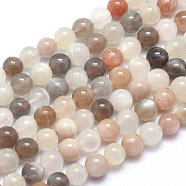 Natural Sunstone Beads Strands, Round, 6mm, Hole: 1mm, about 66pcs/strand, 15.5 inch(39.5cm)(G-K224-02-6mm)