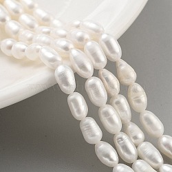 Natural Cultured Freshwater Pearl Beads Strands, Rice, Grade 3A++, Snow, 4~5mm, Hole: 0.6mm, about 26~27pcs/strand, 7.09''~7.28''(18~18.5cm)(PEAR-P062-06F)