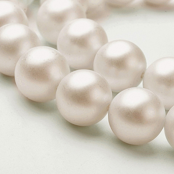 Shell Imitated Pearl Bead Strands, Frosted, Round, White, 10mm, Hole: 0.8mm, about 41pcs/strand, 16.06 inch