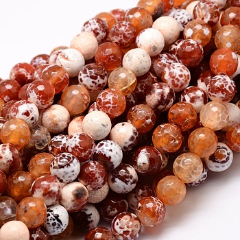 Dyed Natural Fire Crackle Agate Faceted Round Beads Strands, Coral, 12mm, Hole: 1mm, about 32pcs/strand, 14.9 inch