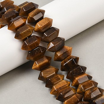 Natural Tiger Eye Double Terminated Point Beads Strands, Chunk Bullet, Faceted, 20x11x10mm, Hole: 1mm, about 20pcs/strand, 7.99''(20.3cm)