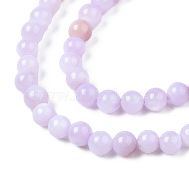 Natural Freshwater Shell Beads Strands(BSHE-T009A-01G)-3