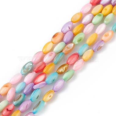 Colorful Horse Eye Freshwater Shell Beads