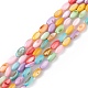 Natural Freshwater Shell Dyed Beads Strands(SHEL-M018-13-12)-1