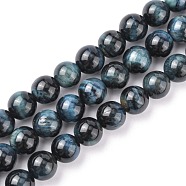 Natural Tiger Eye Beads Strands, Grade AB+, Dyed & Heated, Round, Prussian Blue, 10mm, Hole: 1mm(G-G448-10mm-19AB+)