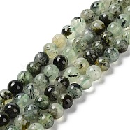 Natural Prehnite Beads Strands, Round, Grade AB, 8mm, Hole: 1mm, about 50pcs/strand, 15.3 inch(39cm).(G-P322-48-8mm-01)