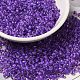 6/0 Transparent Glass Seed Beads(SEED-F003-03A-09)-1