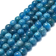Natural Apatite Beads Strands, Round, 8~9mm, Hole: 0.8mm, about 48~52pcs/strand, 15.35''~16.54''(39~42cm)(G-K245-A03-04)