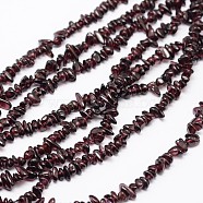 Chips Natural Garnet Beads Strands, 3~8x3~12x3~5mm, Hole: 1mm, about 32 inch(G-N0164-47)