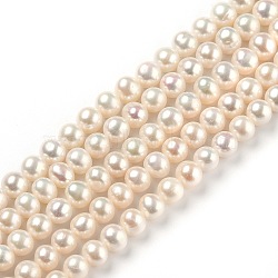 Natural Cultured Freshwater Pearl Beads Strands, Round, Bisque, 6.5x7mm, Hole: 0.5mm, about 57pcs/strand, 14.57 inch(37cm)(PEAR-L033-16-02)