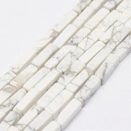 Natural Howlite Beads Strands, Cuboid, 13x5x5mm, Hole: 1mm, about 29pcs/Strand, 15.3 inch(39cm)(G-E342-15)