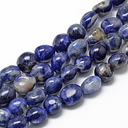 Natural Sodalite Beads Strands, Oval, 8~15x7~12x4~12mm, Hole: 1mm, about 30~45pcs/strand, 15.7 inch(G-R445-8x10-04)
