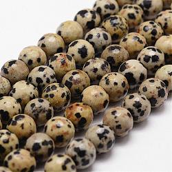 Natural Dalmatian Jasper Beads Strands, Faceted, Round, 10mm, Hole: 1mm, about 37pcs/strand, 14.9 inch~15.1 inch(G-D840-49-10mm)