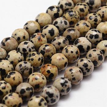 Natural Dalmatian Jasper Beads Strands, Faceted, Round, 10mm, Hole: 1mm, about 37pcs/strand, 14.9 inch~15.1 inch