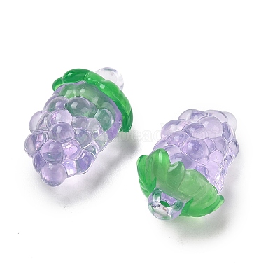Transparent Acrylic Pendants(AC-CBA873C-03E)-2