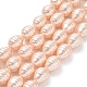 Electroplate Shell Pearl Beads Strands(BSHE-O019-02F)-1
