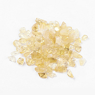 Natural Citrine Beads, No Hole/Undrilled, Chips, 5~19x2~5mm, about 50g/bag(G-J370-07)