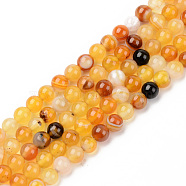Natural Sardonyx Beads Strands, Dyed & Heated, Round, Gold, 6mm, Hole: 1mm, about 63~65pcs/strand, 14.76 inch(37.5cm)(G-S369-002B-B02)