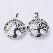 Natural Howlite Pendants, with Platinum Plated Brass Findings, Flat Round with Tree of Life, 31x27x8mm, Hole: 3.5x7mm(G-P350-D11)